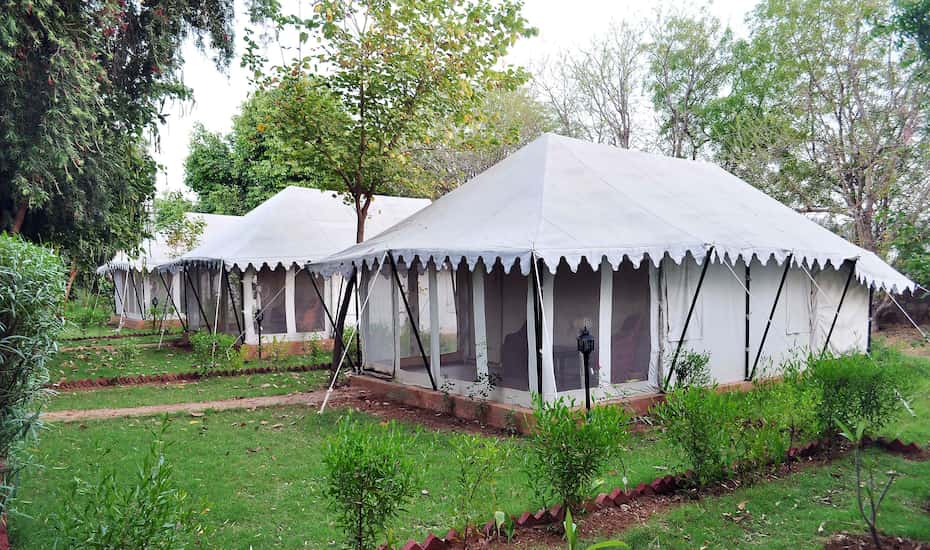 Tiger Machan Resort