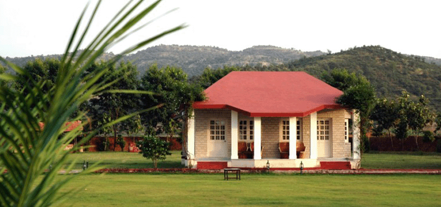 The Tiger den resort
